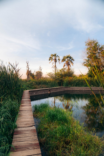 Kisima Ngeda Camp: Fischteich