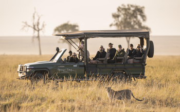 Little Governors' Camp: Leopard