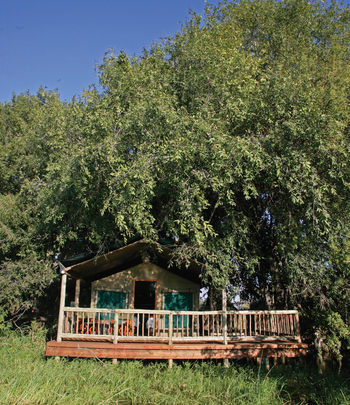 Moremi Crossing: Gästezelt