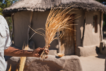 Nata Lodge Nata Lodge: Naturbesen