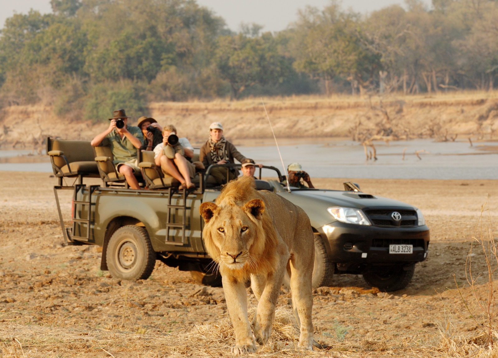 Shenton Safaris Shenton Safaris: Game Drives