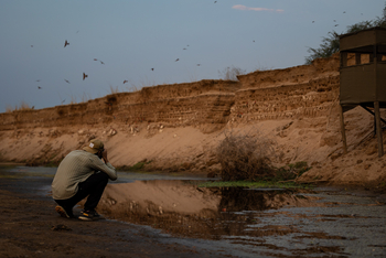 Sungani Lodge Sungani Lodge: Karminspintkolonie