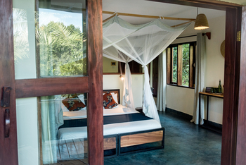 Turaco Treetops: Glastür