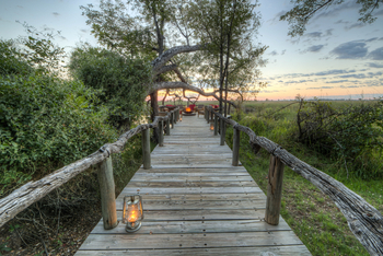 Camp Xakanaxa Camp Xakanaxa: Weg