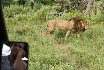 Gomoti Plains Camp: Tiere und Landschaft