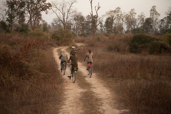 Jim's Jungle Retreat: Cycling