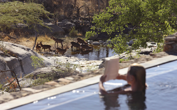Legendary Mwiba Lodge: Blick auf Wildtiere