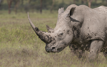 Loldia House: Lake Nakuru