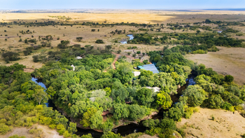 Mara Toto Tree Camp: Galeriewald am Camp