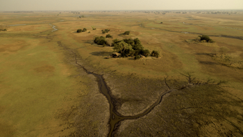 Mukambi Busanga Plains Camp: Lage in den Plains