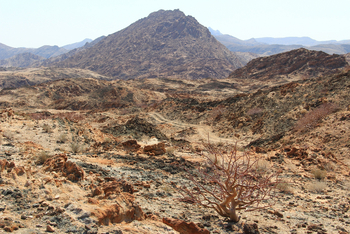 Sanctuary Okahirongo River Camp Sanctuary Okahirongo River Camp: No Title