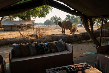 Zambezi Expeditions: Couch und Elefanten im Camp