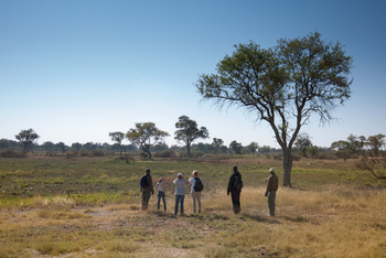 Belmond Eagle Island Lodge: Exkursion zu Fuß