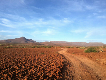 Etendeka Mountain Camp Etendeka Mountain Camp: Piste