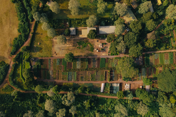 Gibb's Farm: Gibbs Farm von oben