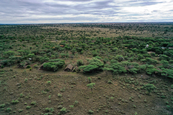 Ikoma Tented Camp: Gesamtansicht des Camps