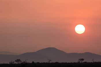 Jamala Madikwe: Baumlinie bei Sonnenuntergang mit Silhouetten