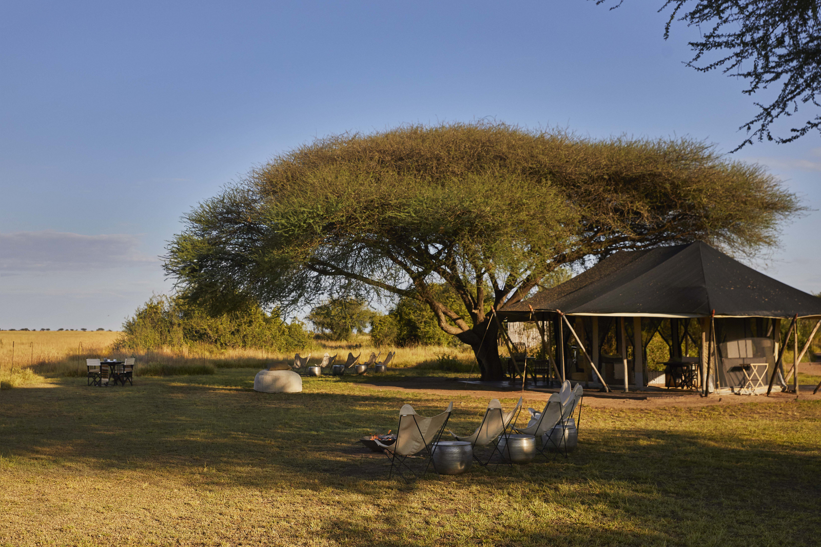 Legendary Mila Tented Camp Legendary Mila Tented Camp: Hauptzelt unter Akazie