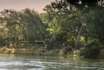 Lolebezi Safari Lodge: Elefant am Ufer