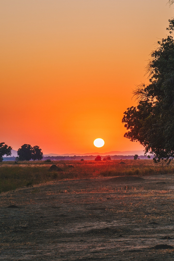 Nyamatusi Camp Nyamatusi Camp: Sonnenuntergang