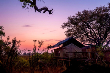 Oddballs' Enclave Camp: Gästezelt