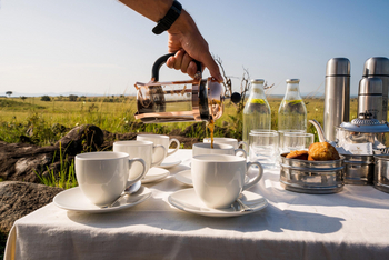 Papa's Camp: Bush Breakfast