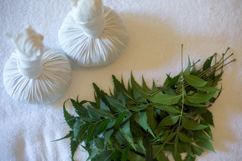 Sujan Sher Bagh: Massage-Accessoires