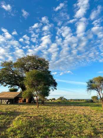 Tarangire Kati Kati Tented Camp: Gelände der Lodge