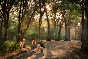 andBeyond Phinda Rock Lodge: Ranger erklärt Gästen Spuren im goldenen Licht