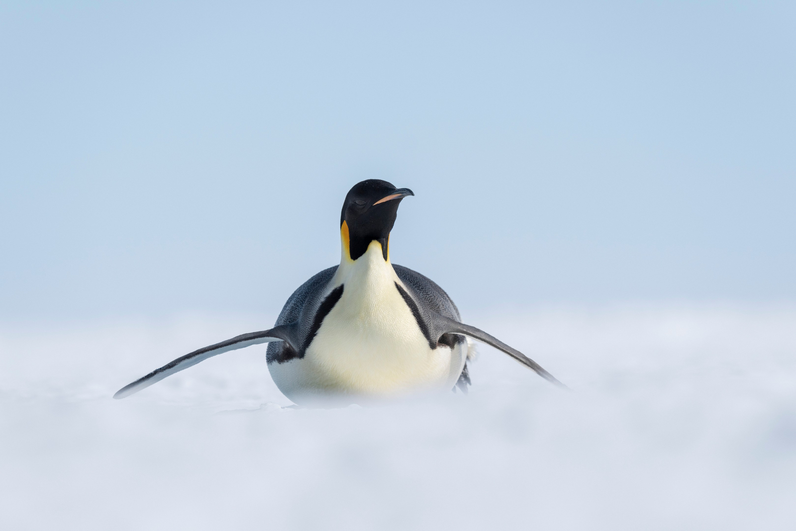 White Desert White Desert