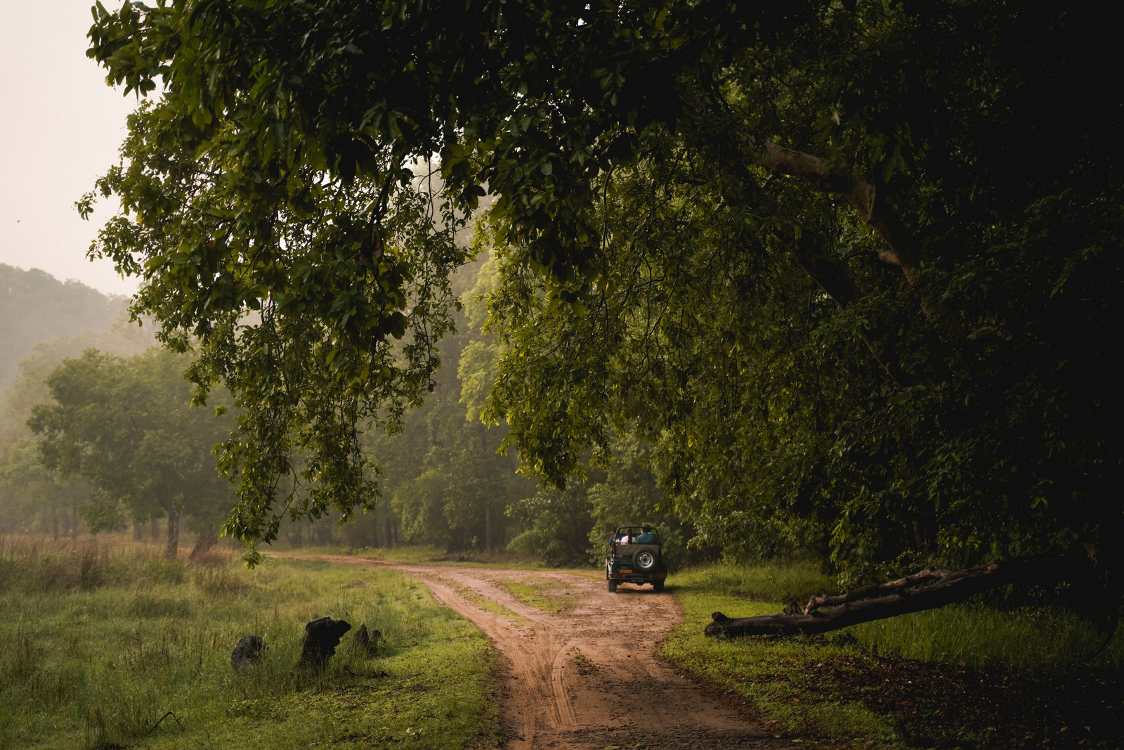 Bandhav Vilas Bandhav Vilas: Game Drive