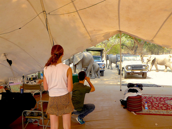 Camp Mana: Hauptzelt