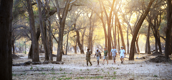 Old Mondoro Camp: Walking Safari