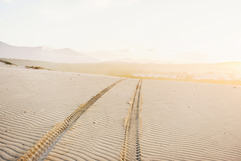 Coot Club: Landschaft