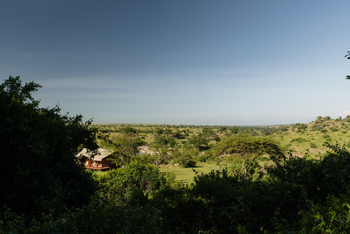 Elewana Serengeti Migration Camp: Landschaft und blauer Himmel