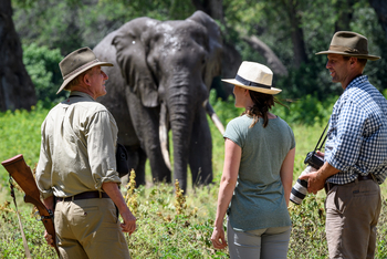 John's Camp John's Camp: Elefantenbegegnung