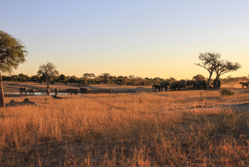 Jozibanini Camp Jozibanini Camp: Abend am Wasserloch