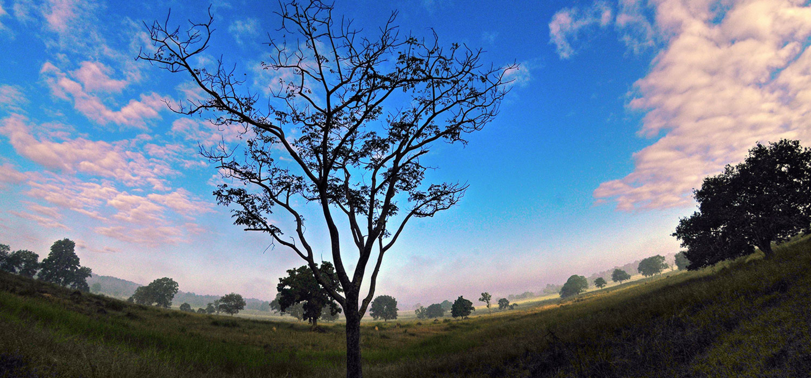 Kanha Earth Lodge Kanha Earth Lodge: Morgenstimmung