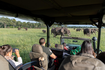 Little Governors' Camp: Game Drive