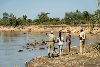 Luangwa Bush Camping Luangwa Bush Camping: Walking Safari