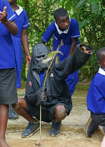 Mahogany Springs Safari Lodge: Gorilla Show