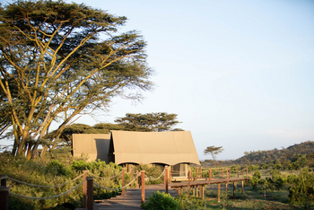 Mara Nyika Camp: Steg zu den Gästezelten