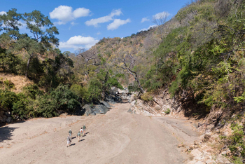 Mhara River Camp: Vier Personen Wandern entlang einer Sandpiste