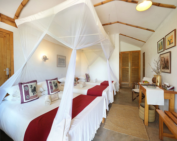 Ndutu Safari Lodge: Mehrbettzimmer