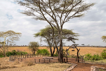 Ole Serai Camp Turner Springs: Feuerstelle