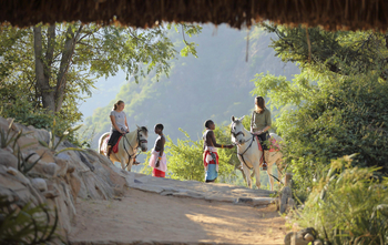 Sarara Tree: Ausritt