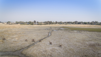 Splash Camp: Wasserböcke