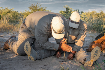 Tau Pan Camp Tau Pan Camp: Feuermacher