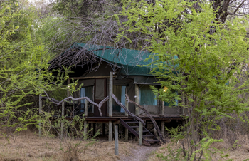 Thamo Telele: Gästezelt