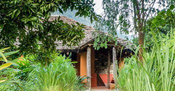 Vanghat: Elefantengras